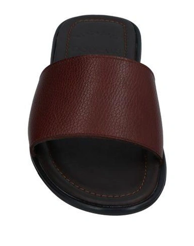 Shop Doucal's Sandals In Brown
