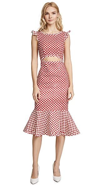 saloni polka dot dress