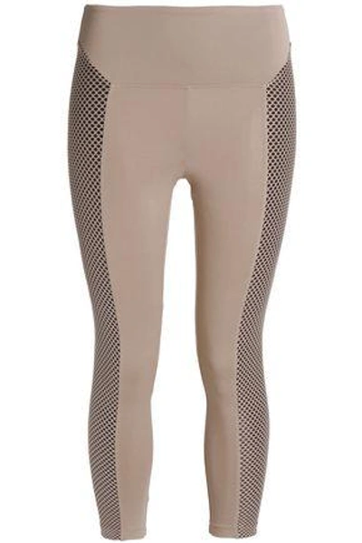Shop Koral Woman Mesh-paneled Stretch Leggings Beige
