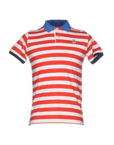 Shop Invicta Polo Shirts In Red