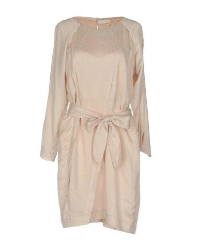 Shop Intropia Short Dress In Light Pink