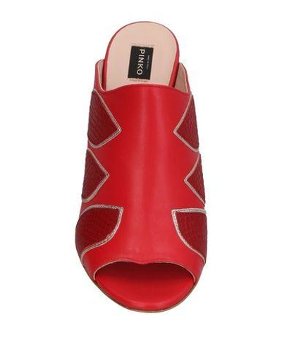 Shop Pinko Sandals In Brick Red