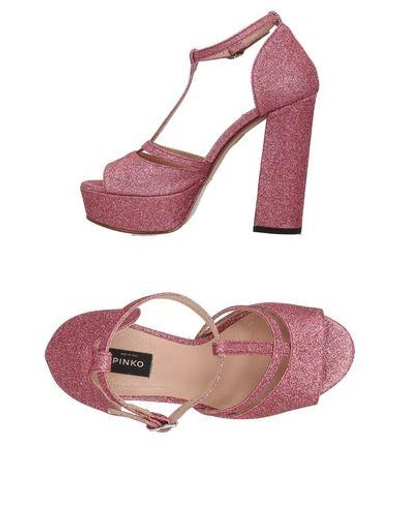 Shop Pinko Sandals In Pink