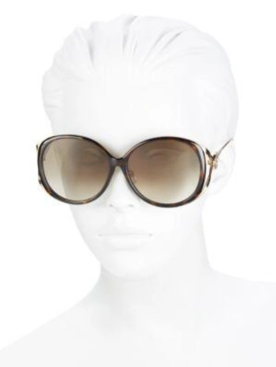 Shop Gucci 60mm Oval Sunglasses In Havana