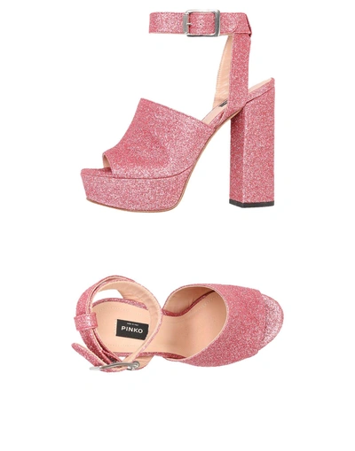 Shop Pinko Sandals In Pink