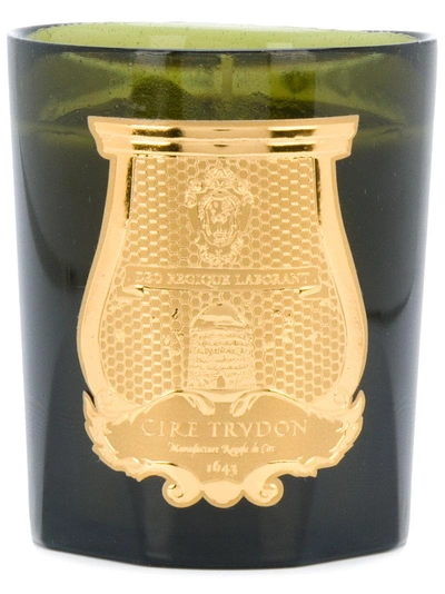 Shop Cire Trudon Solis Rex Scented Candle (270g) In Green