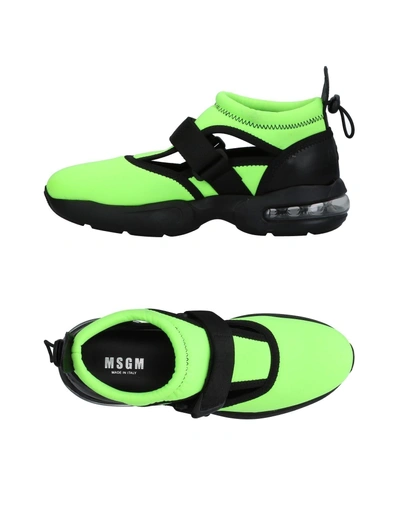 Shop Msgm Sneakers In Light Green