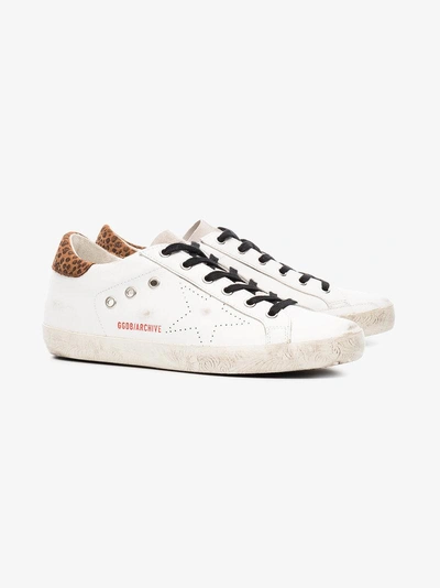 Shop Golden Goose Deluxe Brand White Leopard Superstar Sneakers