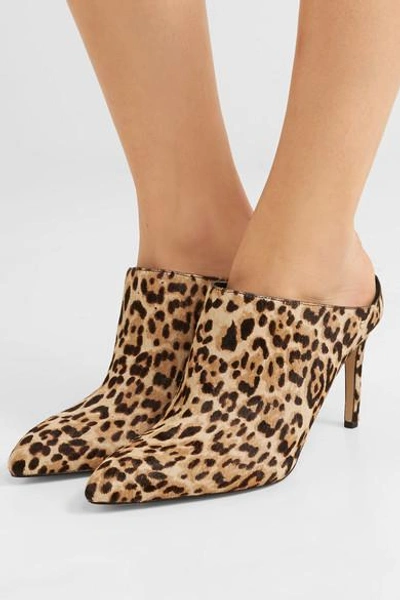 Shop Sam Edelman Oran Leopard-print Calf Hair Mules In Leopard Print