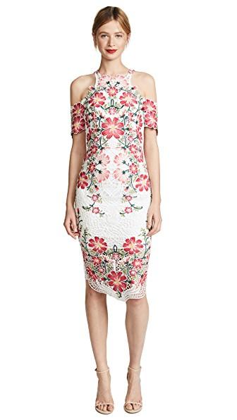 thurley flowerbomb dress