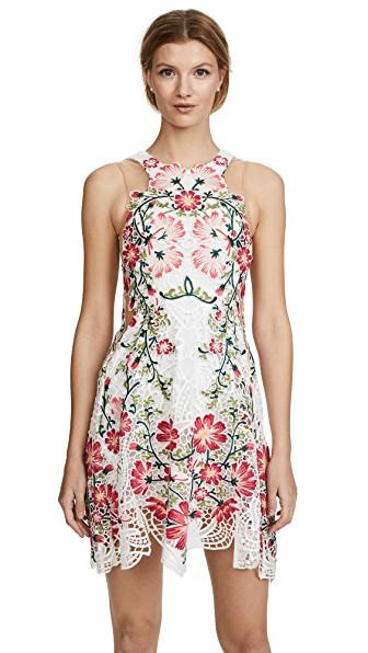 thurley flowerbomb dress