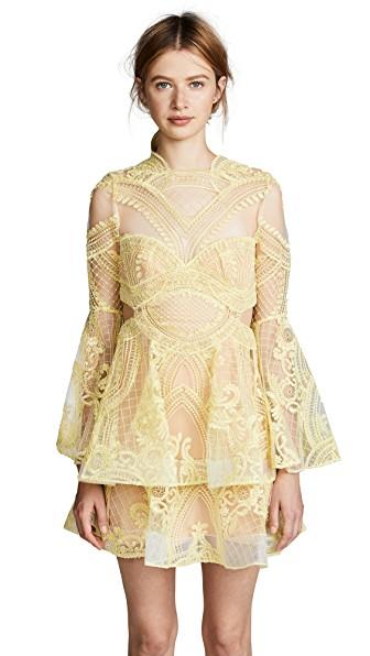 thurley chameleon mini dress