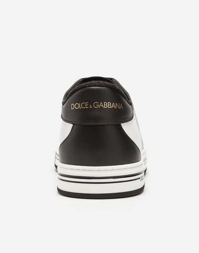 Shop Dolce & Gabbana Roma Sneakers In Coated Canvas And Calfskin In White