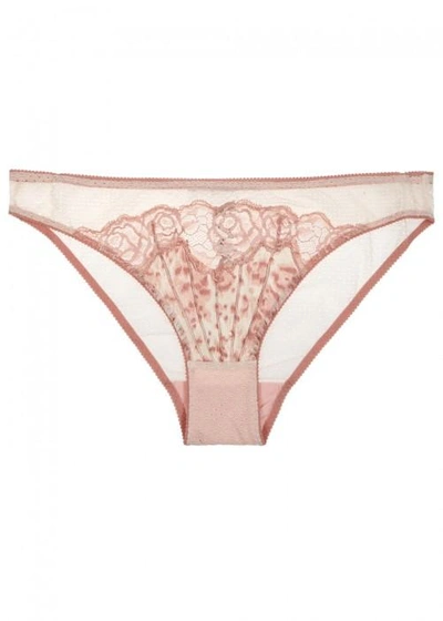 Shop Stella Mccartney Ellie Leaping Printed Mesh Briefs In Pink