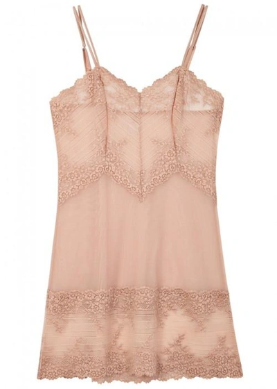 Shop Wacoal Embrace Lace Rose Embroidered Tulle Chemise