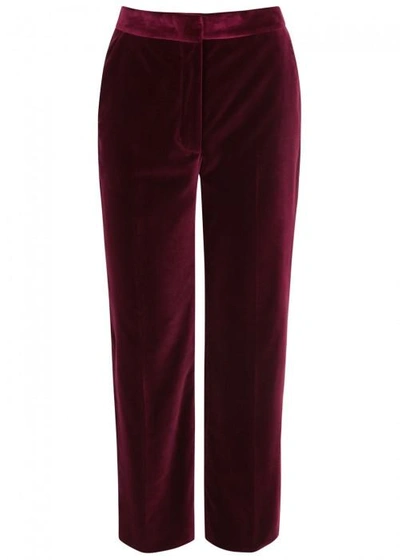 Shop Stella Mccartney Burgundy Kick-flare Velvet Trousers