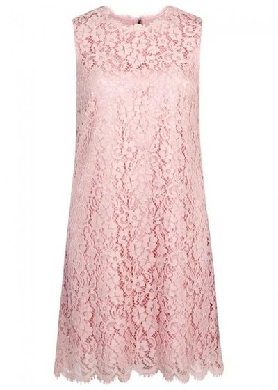 Shop Dolce & Gabbana Light Pink Lace Mini Dress