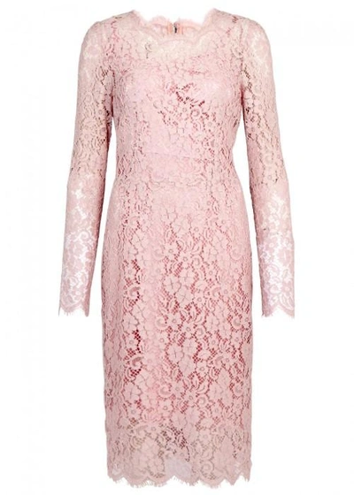 Shop Dolce & Gabbana Light Pink Lace Dress