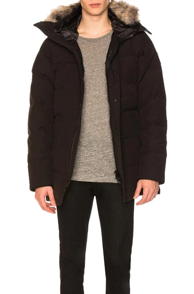 Shop Canada Goose Black Label Chateau Parka In Black Camo