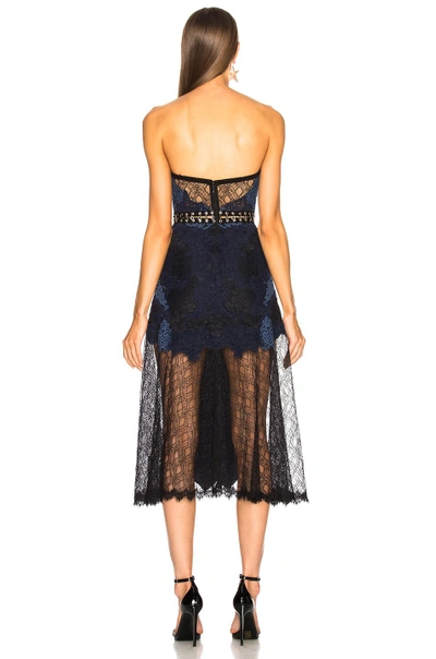 Shop Jonathan Simkhai Grommet Lariat Lace Bustier Midi Dress In Blue