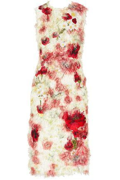 Shop Dolce & Gabbana Floral-appliquéd Fil Coupé Midi Dress In Red