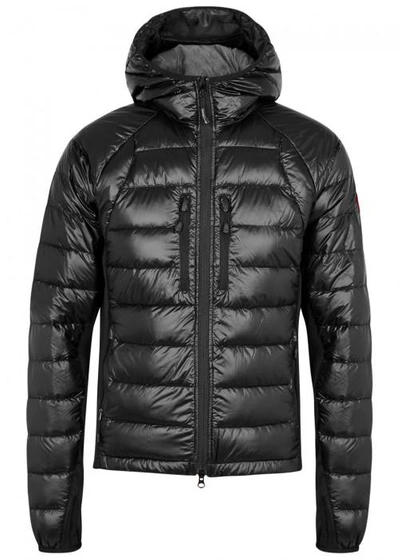 Shop Canada Goose Hybridge Lite Quilted Shell Jacket In Black And Grey
