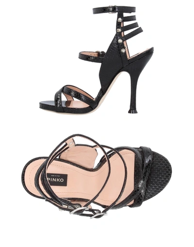 Shop Pinko Sandals In Black