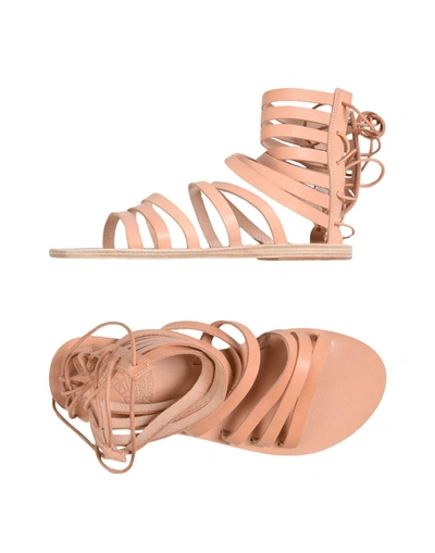 Shop Ancient Greek Sandals Sandals In Blush