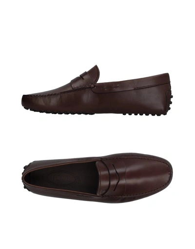 Shop Tod's Man Loafers Dark Brown Size 12.5 Leather