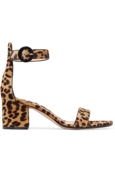 Shop Gianvito Rossi Versilia 60 Leopard-print Calf Hair Sandals In Leopard Print