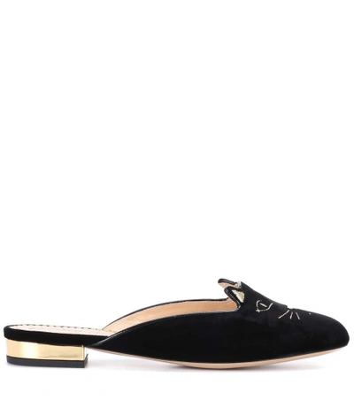 Shop Charlotte Olympia Kitty Velvet Slippers In Black