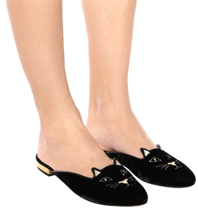 Shop Charlotte Olympia Kitty Velvet Slippers In Black