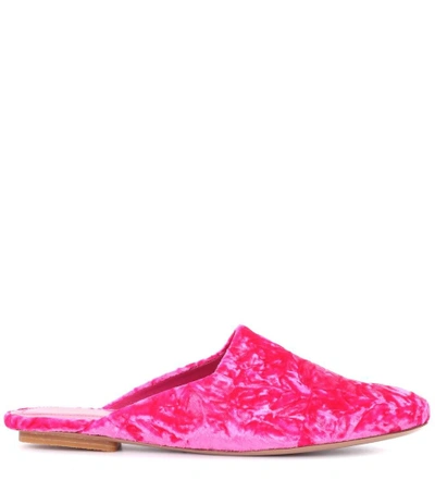 Shop Dries Van Noten Crushed-velvet Slippers In Pink