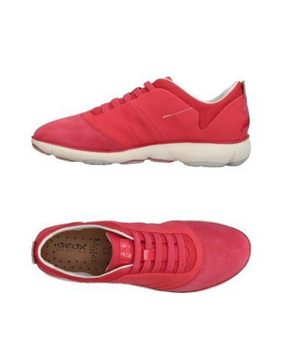 Shop Geox Sneakers In Coral