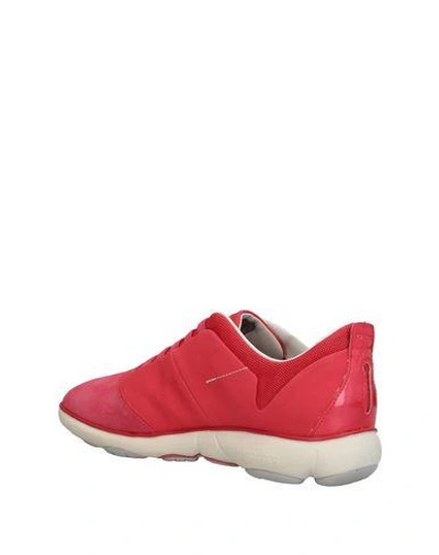 Shop Geox Sneakers In Coral