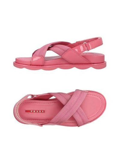 Shop Prada Sandals In Pink