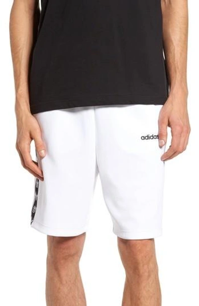 Shop Adidas Originals Originals Tnt Shorts In White