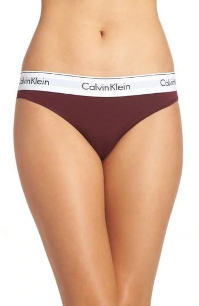 Shop Calvin Klein 'modern Cotton Collection' Cotton Blend Bikini In Brazen