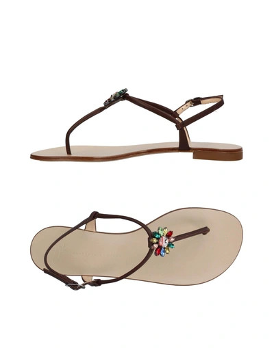 Shop Giuseppe Zanotti Toe Strap Sandals In Dark Brown