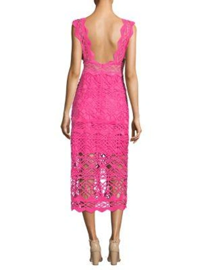 Shop Thurley Coney Island Lace Midi Dress In Fuchsia