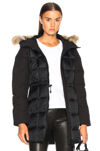 Shop Canada Goose Beechwood Parka With Coyote Fur In Black