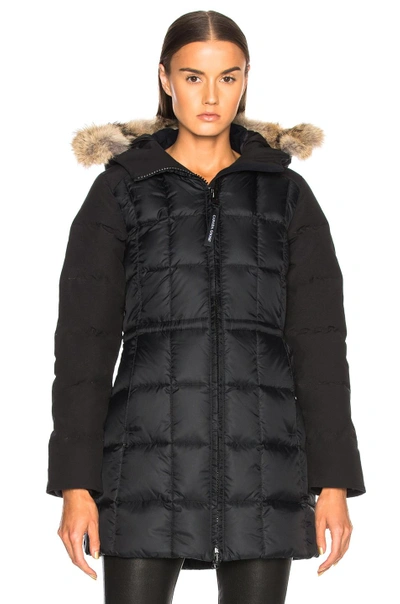 Shop Canada Goose Beechwood Parka With Coyote Fur In Black