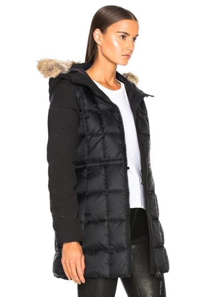 Shop Canada Goose Beechwood Parka With Coyote Fur In Black