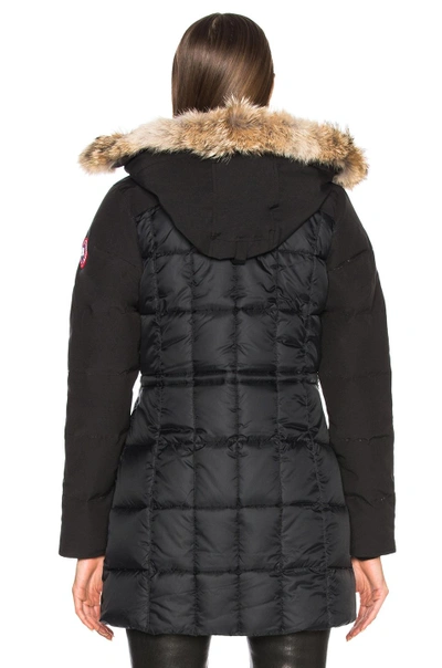 Shop Canada Goose Beechwood Parka With Coyote Fur In Black