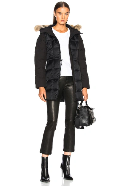 Shop Canada Goose Beechwood Parka With Coyote Fur In Black