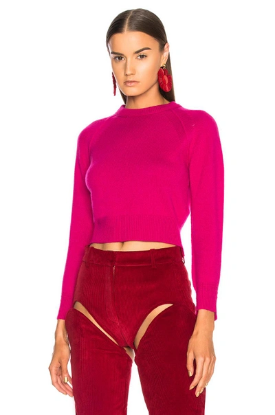 Shop Helmut Lang Cropped Sweater In Magenta