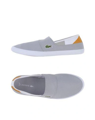 Shop Lacoste Trainers In Light Grey