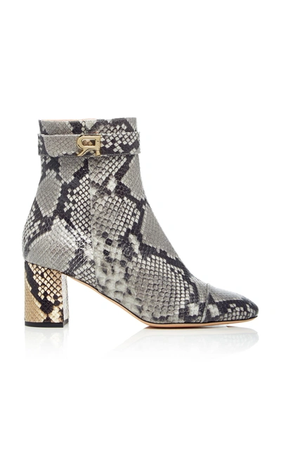 Shop Rochas Python Bootie In Grey