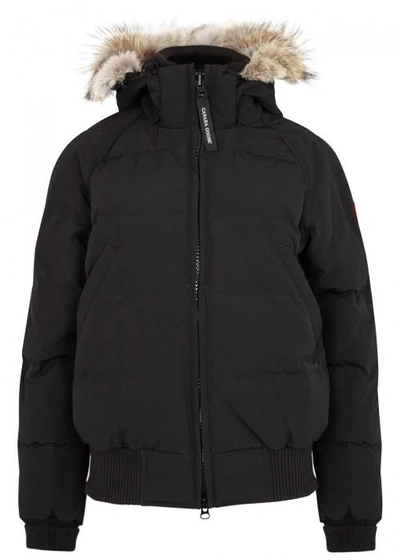 Shop Canada Goose Savona Black Fur-trimmed Bomber Jacket