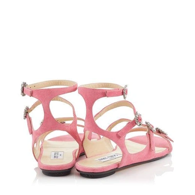 Shop Jimmy Choo Naia Flat Flamingo Suede Sandals With Swarovski Crystal Buckles In Flamingo/crystal